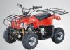 50CC -110CC Mini Cheaper Price ATV(ATV216) (50CC -110CC Mini Cheaper Price ATV(ATV216))