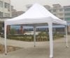 Aluminum folding tent (Aluminum folding tent)