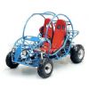 250cc Go Kart (250cc Go Kart)