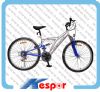 Mountain Bicycle