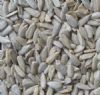 Sunflower Seed Kernels (Sunflower Seed Kernels)