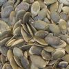 Pumpkin Seeds (Graines de citrouille)