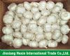 white garlic (white garlic)