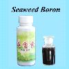 Seaweed Boron (Algues Boron)