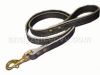 genuine pet leash (véritable animal de compagnie en laisse)