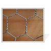 hexagonal wire mesh (treillis hexagonal)