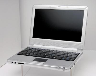 Netbook 10.1 (Netbook 10,1)