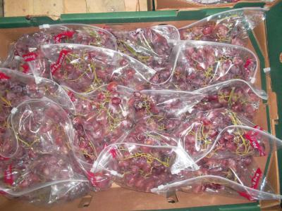 Crimson Grapes (Crimson Grapes)