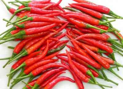 Chilli ()