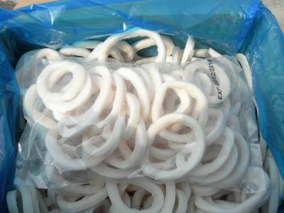 frozen squid rings, squid products (frozen squid rings, squid products)