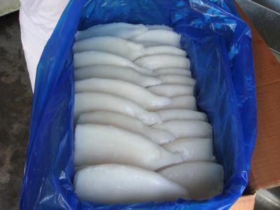 frozen squid, frozen calamari (frozen squid, frozen calamari)