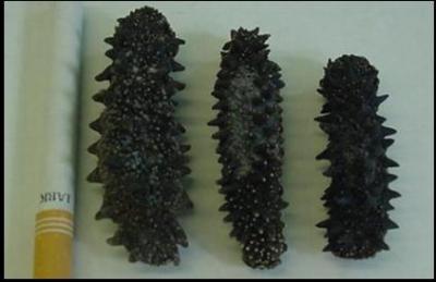 Dried Sea cucumber ()