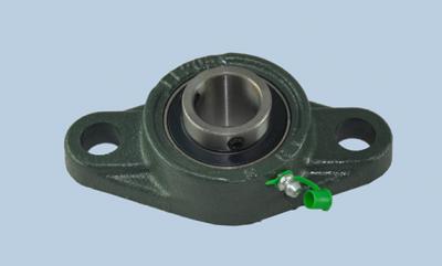 UCFL206 oval flange bearing  2 bolts ()