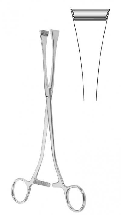 Green Armytage Forceps (Green Armytage Forceps)