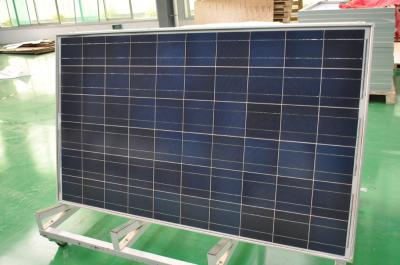 solar panel / solar module / PV module