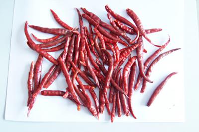 Yunnan chilli(chile de arbol)