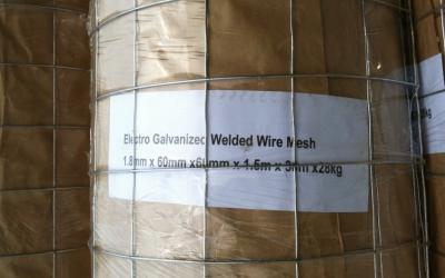 Electro galvanized(after welding)welded wire mesh ()