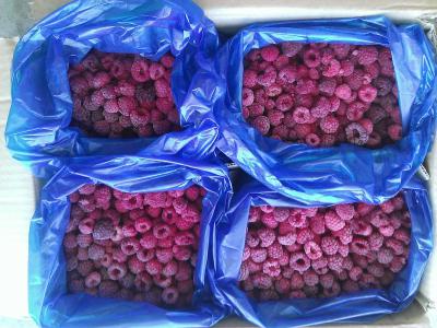 Grade A frozen fruits IQF red raspberry frozen raspberry ()