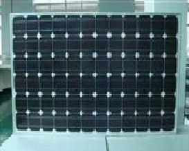 175w Monocrystalline Solar Panel (MAC-MSP175) (175w Monocrystalline Solar Panel (MAC-MSP175))