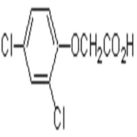 2,4-D ()