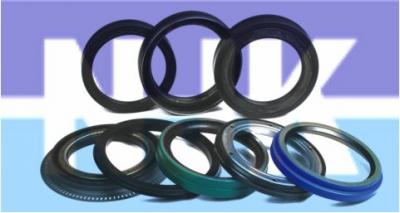 oil seal (l`huile de phoque)