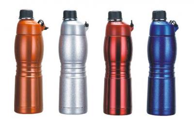 Stainless Steel Vacuum Flask, Thermal, Thermos Bottle, Tableware, Houseware