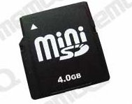 Mini SD Card(Mini Secure Digital Card) (Mini SD Card (Mini Secure Digital Card))