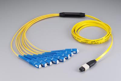 MPO Fan-out Patchcord Assemblies - SC/UPC (MPO Fan-out Patchcord Assemblies - SC / UPC)