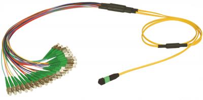 MPO Fan-out Patchcord Assemblies - FC / UPC - 4,8,12 und 24 Faseranschluss (MPO Fan-out Patchcord Assemblies - FC / UPC - 4,8,12 und 24 Faseranschluss)