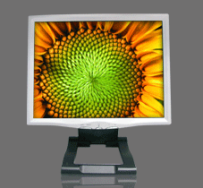 14-Inch TFT LCD Monitor (14-Inch TFT LCD Monitor)