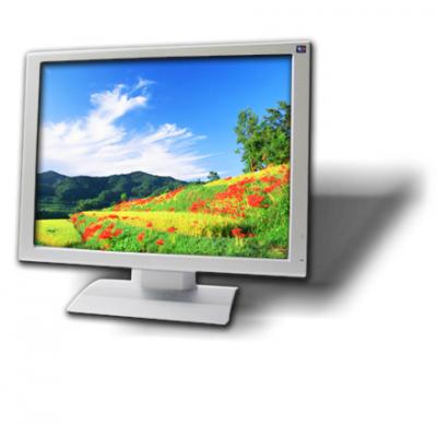 20.1-Inch TFT LCD Monitor