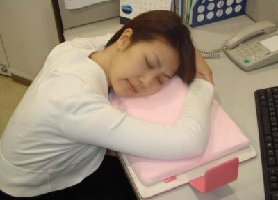File Case Nap Pillow