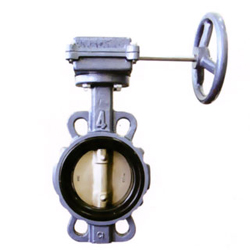 Butterfly Valve (Absperrklappe)