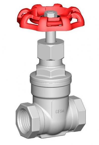 Stainless steel / Bronze Gate Valve (Stainless steel / Bronze Gate Valve)