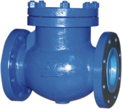 Cast Iron Swing Check Valve (Cast Iron Rückschlagklappe)