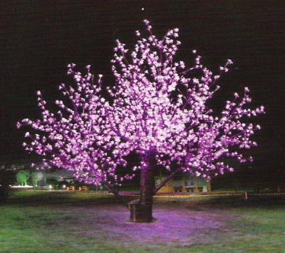 LED cherry tree light (LED arbre de la cerise)