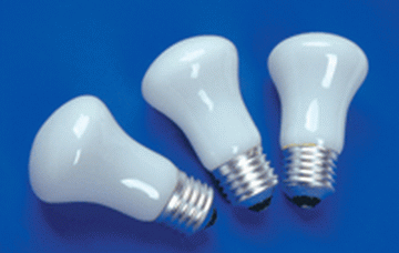 Energy saving bulbs (Энергосбережение луковиц)