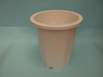 Decagonar Flower Pot (Decagonar Flower Pot)