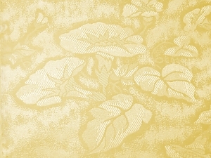 Silica Fabric