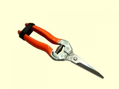 7-1/2`  floral stainless straight trimming pruner (7-1/2 "floral Edelstahl gerade Trimmen Pruner)