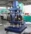 500T-A Animal salt block press machine (500T-A Animal salt block press machine)