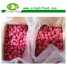 IQF cultivated raspberry ()