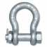 Forged Alloy Anchor Shackle with Bolt Pin ()