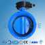 AWWA C504 Butterfly Valve (AWWA C504 Butterfly Valve)