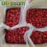 IQF raspberry frozen raspberry ()