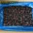 IQF balckberry frozen blackberry ()