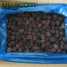 IQF balckberry frozen blackberry (Ежевика)