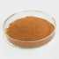 Sarsaparilla Extract ()