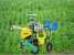 2ZBZ-2A Self-propelled 2 lines vegetable transplanting machine ()