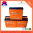 6-DZM20AH E-BIKE BATTERY (6-DZM20AH E-BIKE BATTERY)